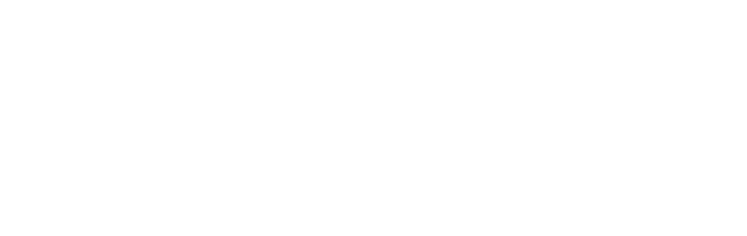 "Access and Inclusion" written in bold Sans serif font. The text is white on a purple background.